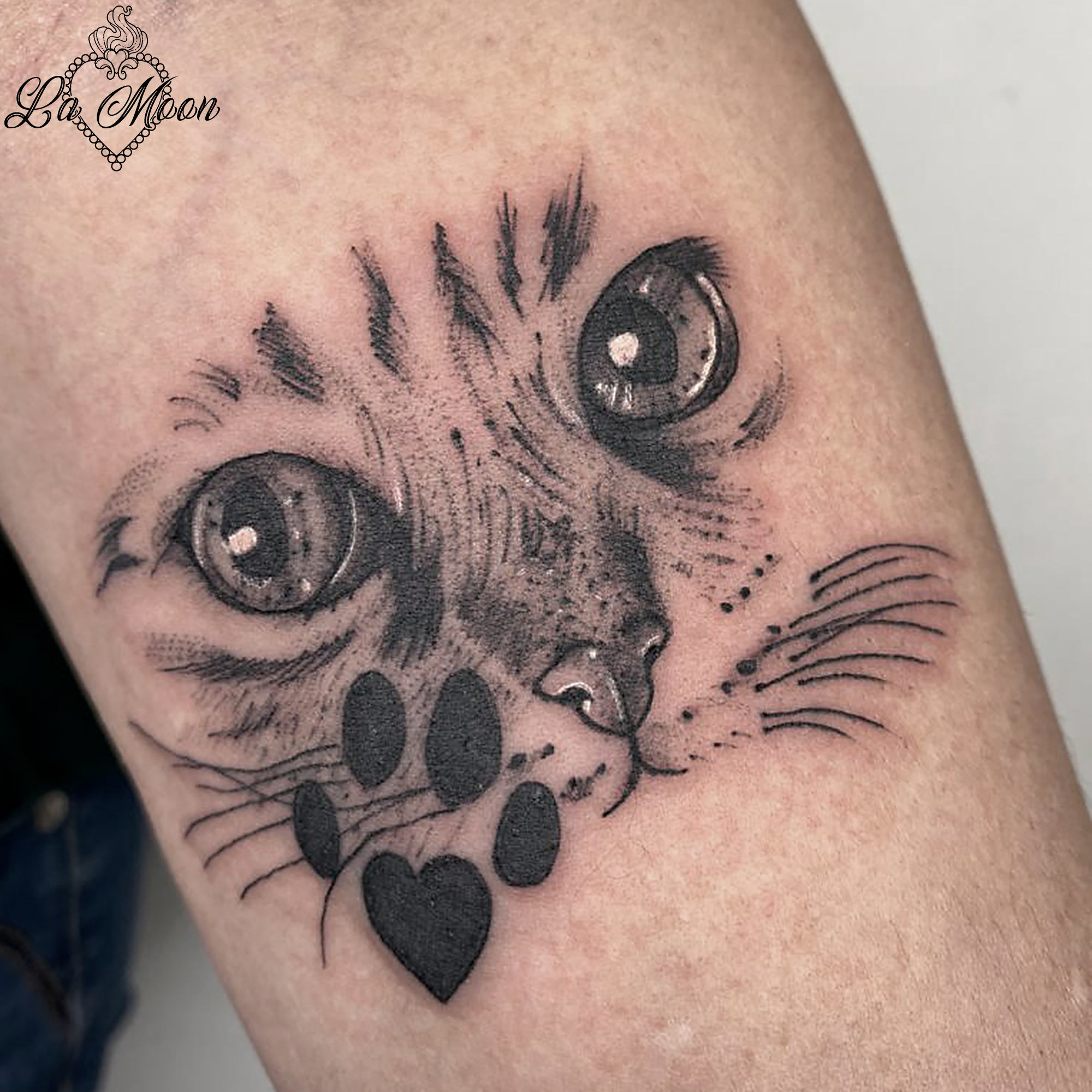 315154009_658780565876481_4651946763176803514_n