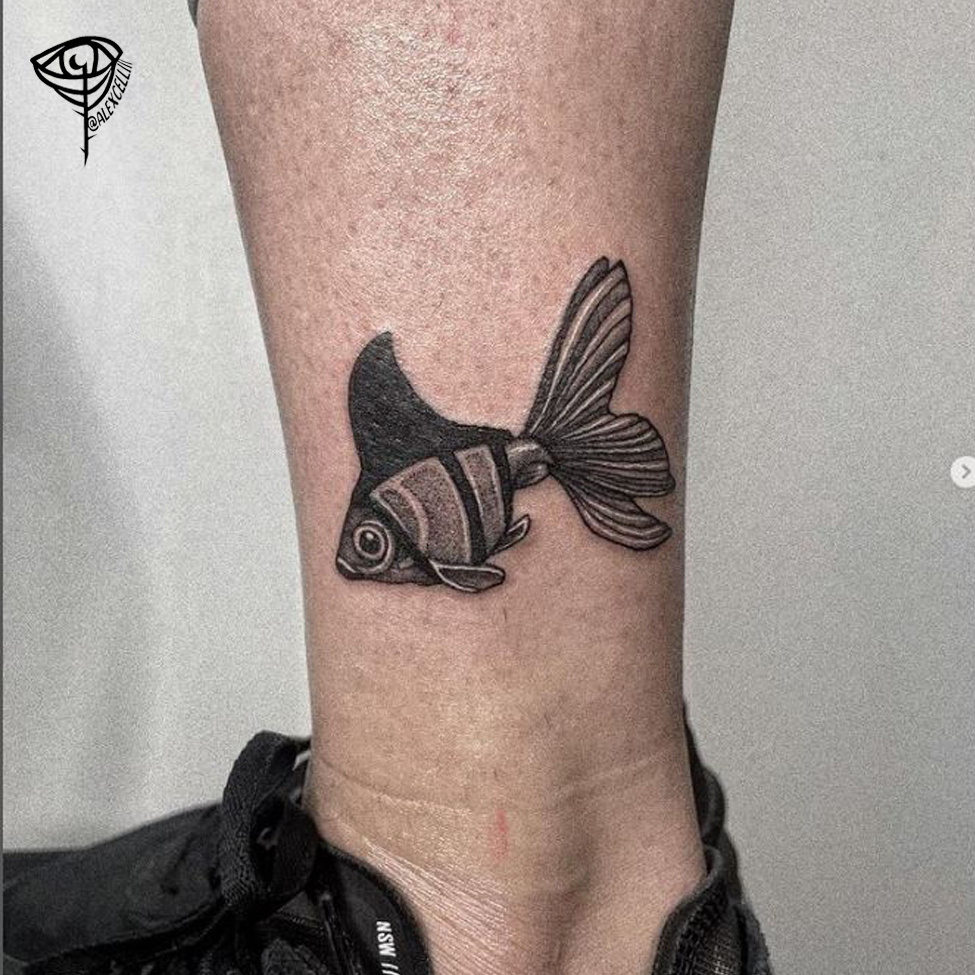 307205605_616801363407735_838069090642401542_n